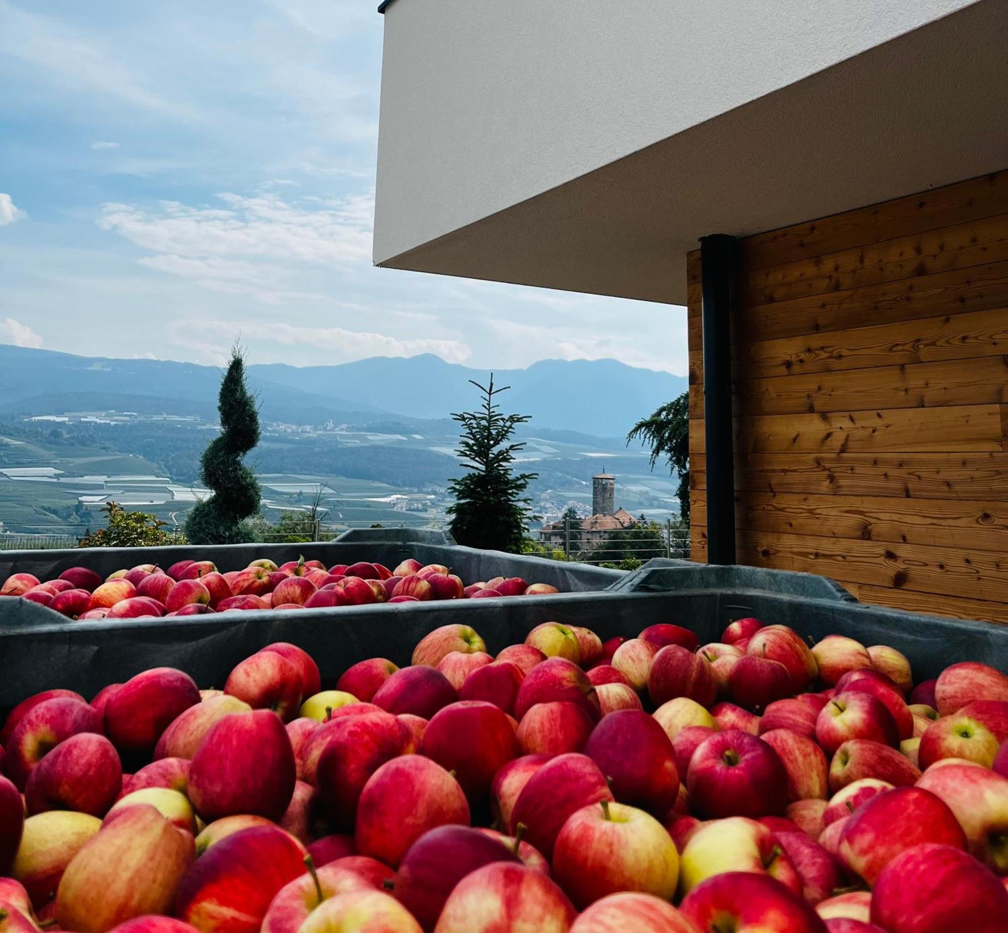 Apartament Maso Valer - Agritur Tassullo Zewnętrze zdjęcie